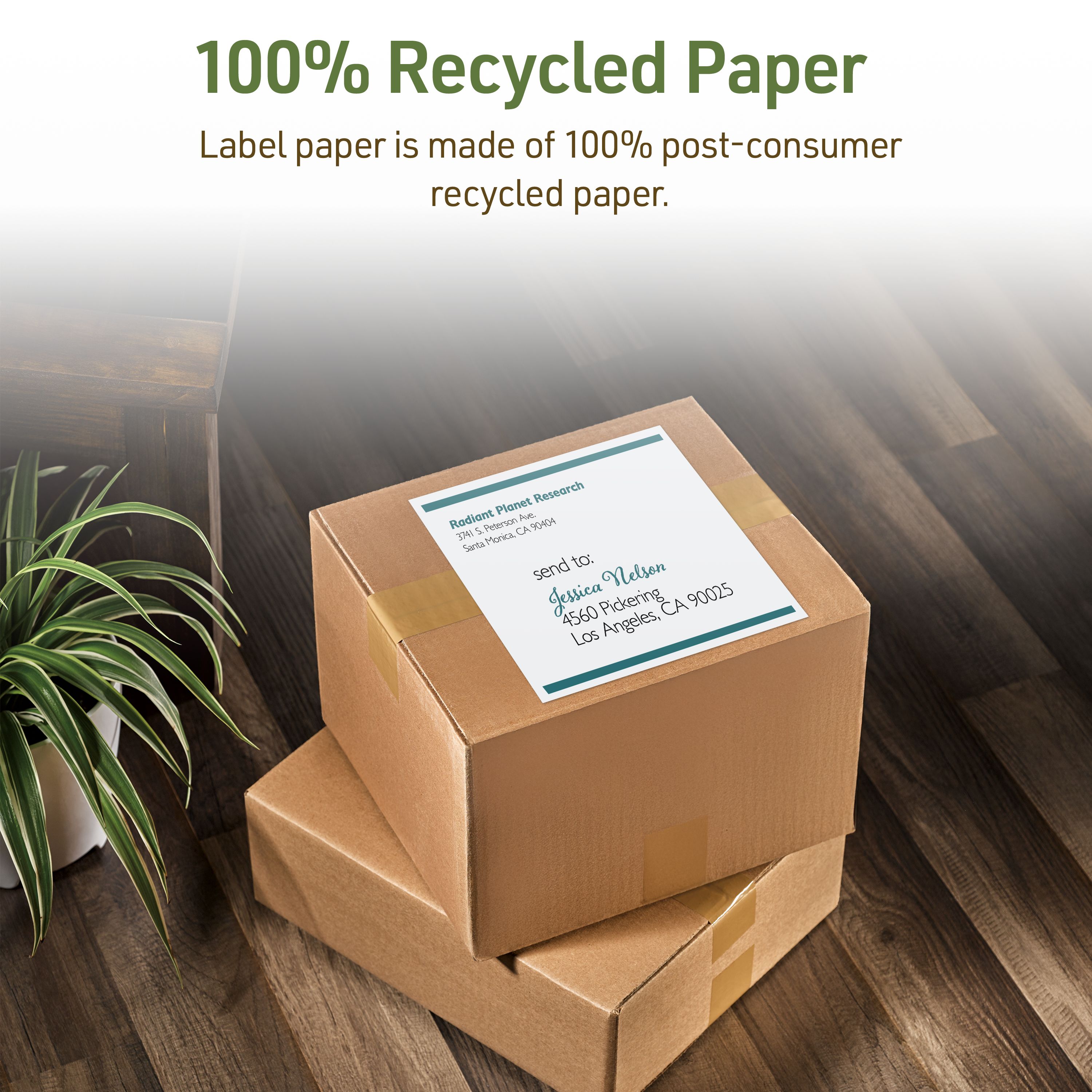 EcoFriendly Shipping Labels, 8-1/2